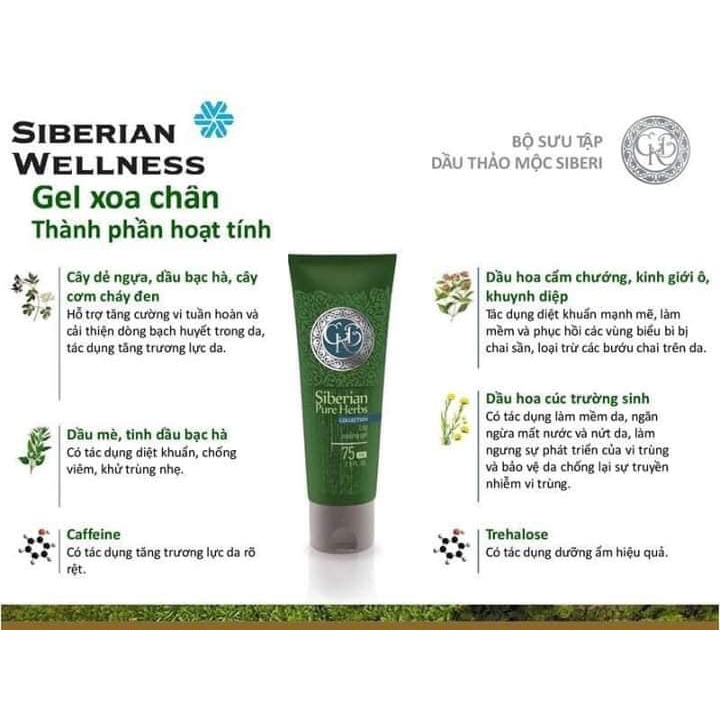 Gel xoa chân Siberian Wellness - Giảm phù nề và suy giãn tĩnh mạch đôi chân