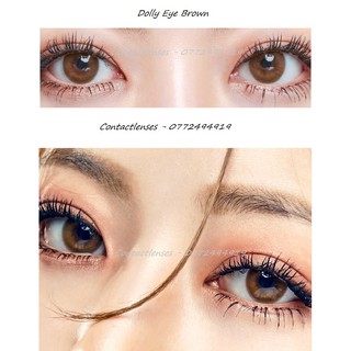 Combo khay 3 cặp lens ( tặng kèm 1 cặp lens không độ - inbox chọn màu)