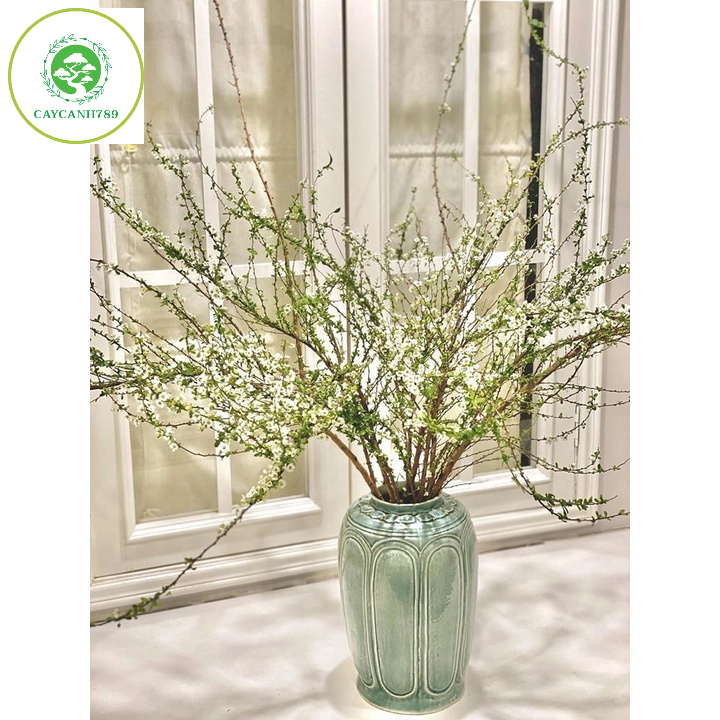 Bó hoa tuyết mai rừng ngủ đông trang trí decor cành dài 80cm