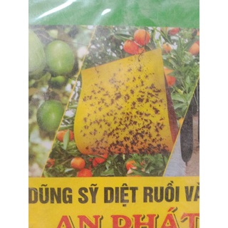 DŨNG SĨ DIỆT RUỒI VÀNG (dạng bẫy dính 35cm×35cm)