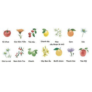 SỮA RỬA MẶT THẢO MỘC BOTANICAL MARCHE - NHẬT