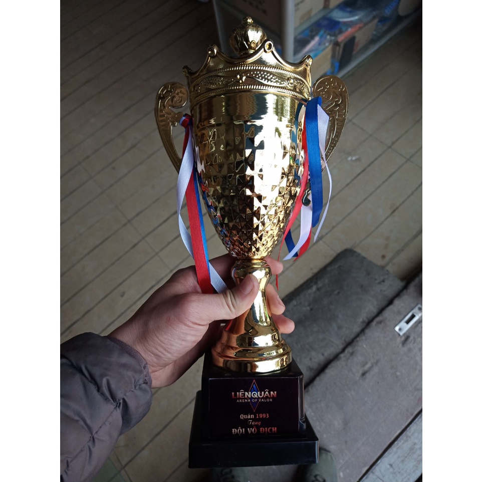 Cúp thể thao kim loại TL-037 Trao Tặng Các Giải Bóng Đá, Bóng Chuyền...