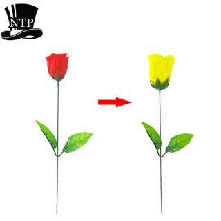 [Freeship] Ảo thuật hoa hồng đổi màu hàng chuẩn bông đẹp không lộ (tặng Clip hướng dẫn)