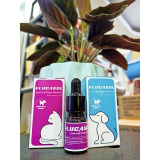 Bôi trị nấm cho chó flucasol 5ml