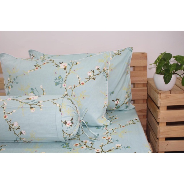 Bộ Drap 100% Cotton