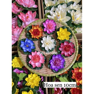 Hoa thả bát sen