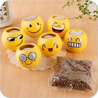 Combo 2 Chậu hoa mini để bàn (kèm đất + hạt giống)