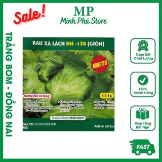 Rau xà lách Giòn (Gai) HN138_1g_Hạt giống chịu nhiệt, trồng quanh năm, nảy mầm tốt, năng suất cao_Siêu sale hot hit rẻ