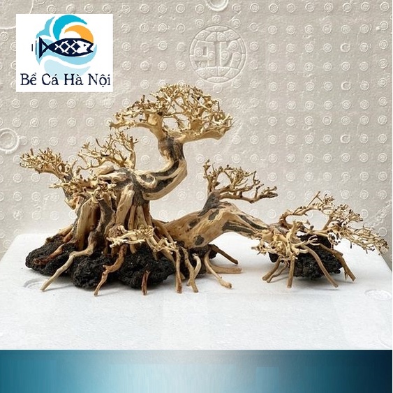 Lũa Bonsai Mini Trang Trí Bể Cá - Bể Thủy Sinh ( Kích thước : từ 20cm - 50cm )