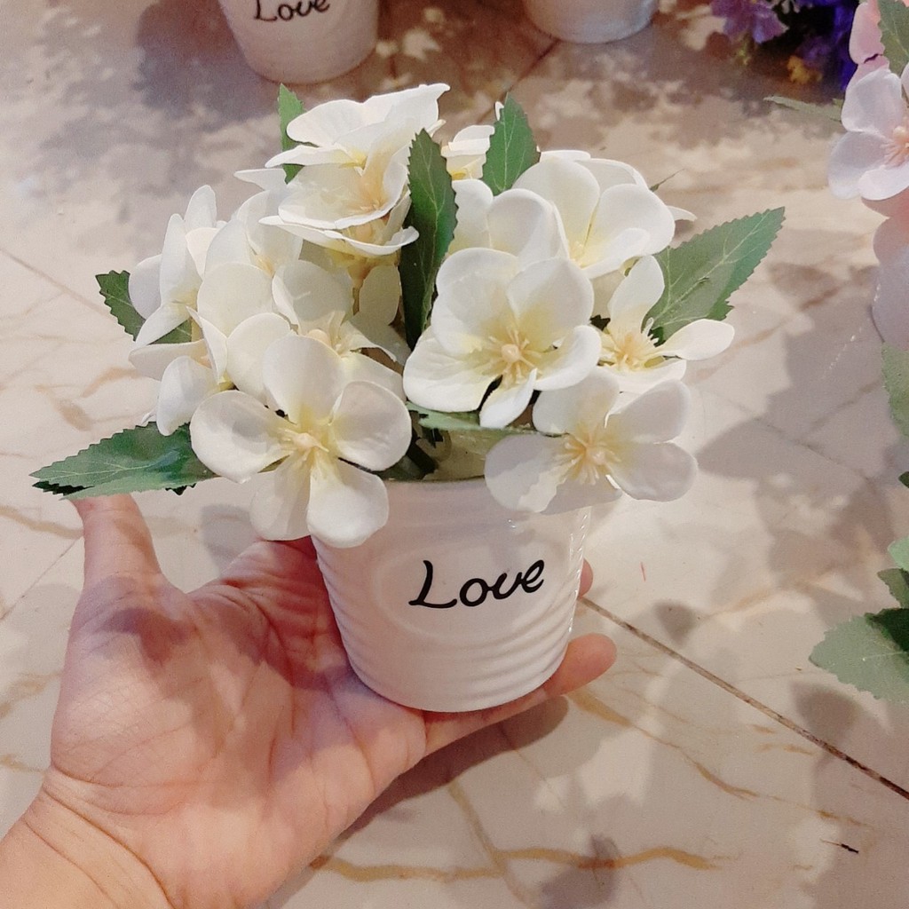 Chậu hoa tú cầu nhỏ để bàn (chậu sứ chữ love)