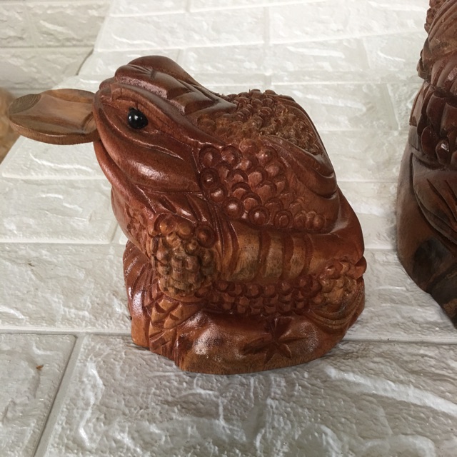 Cóc gỗ xá xị đỏ