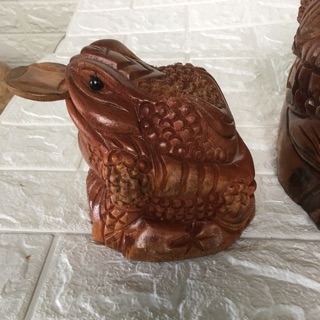 Cóc gỗ xá xị đỏ