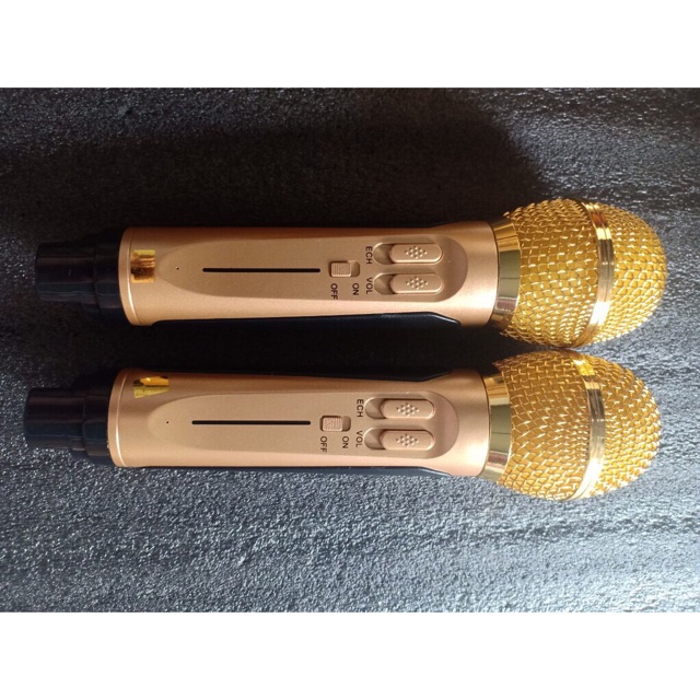 Loa karaoke bluetooth Sd306 tặng 2 mic không dây
