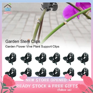 Sixxx Bộ 100 cái kẹp nhựa cố định cành hoa lan mini