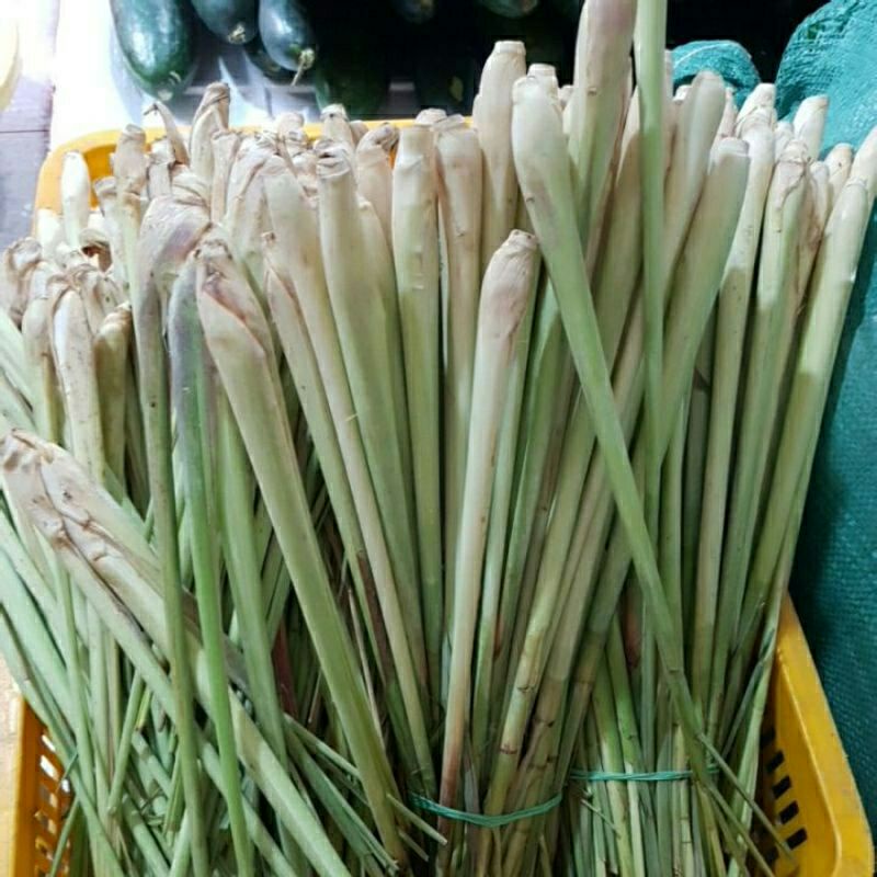 1kg xả cây tươi : chỉ giao TPHCM