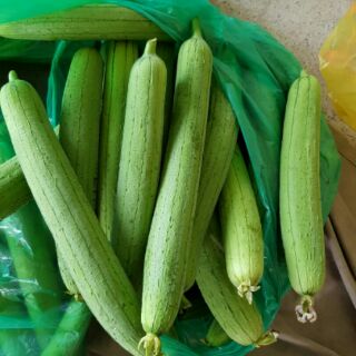 Hạt giống Mướp hương (Sponge Gourd seeds)