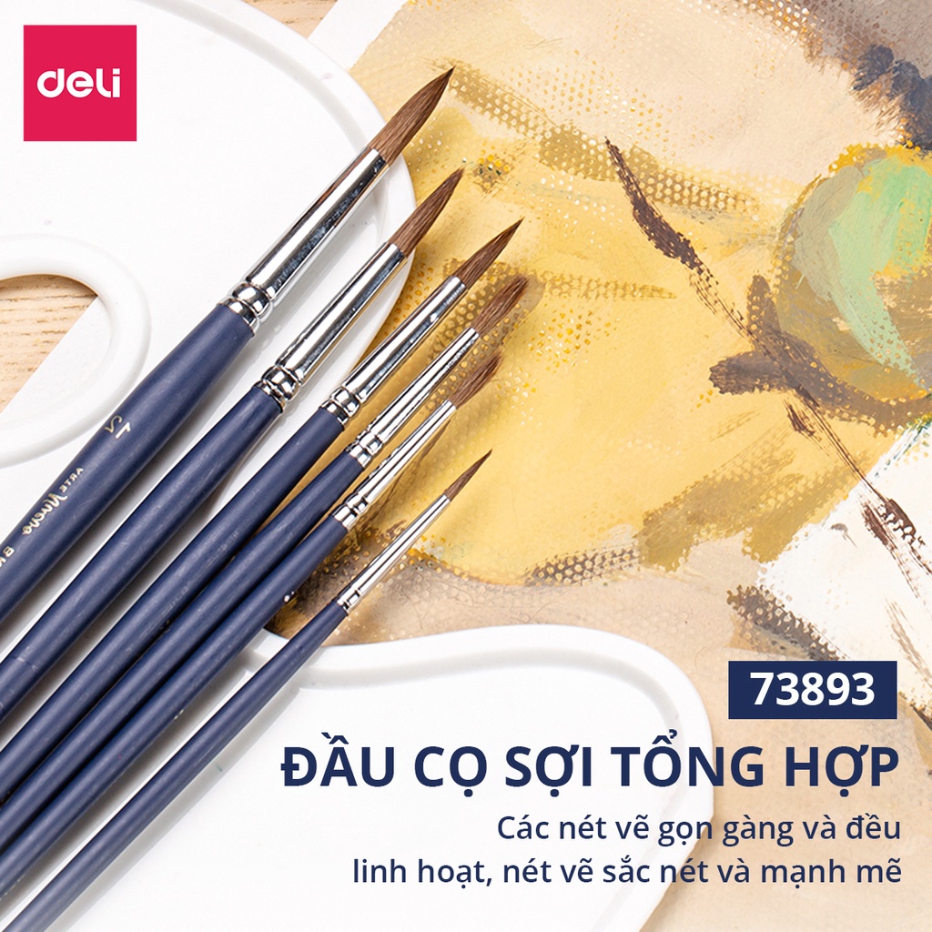 Bộ 6 cây cọ vẽ cao cấp Deli - Thích hợp nhiều loại màu - Hai loại đầu cọ - 73892 / 73893