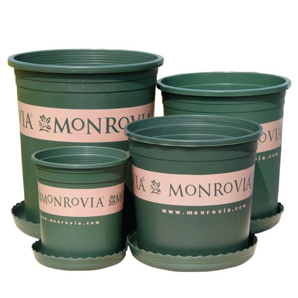 Chậu Monrovia Size 5 28x31cm - Chậu nhựa trồng cây chuyên dùng trồng Hoa Hồng và các loại hoa kiểng
