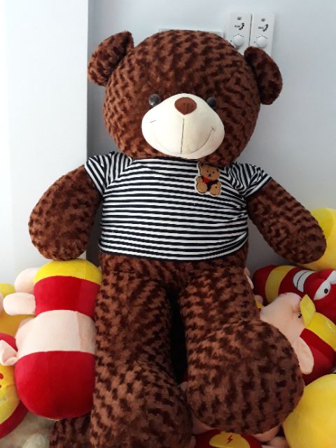 Gấu Teddy khổ 1m4 (nhiều màu)