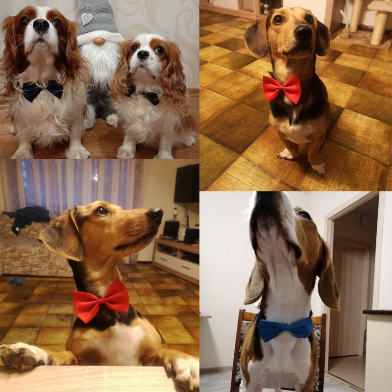 Nơ Đeo Cổ Dễ Thương Điều Chỉnh Được Dành Cho Thú Cưng Chó Mèo