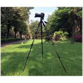 Chân máy ảnh Tripod Beike Q-111