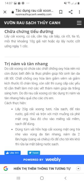 Cây giống cải xoong nhật(xà lách xoong)