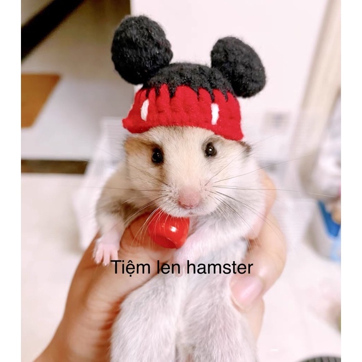 nón mũ cho hamster tai chuột