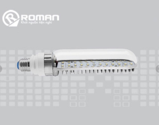 Bóng đèn đường ELB7029 30W- LED ROMAN Siêu sáng