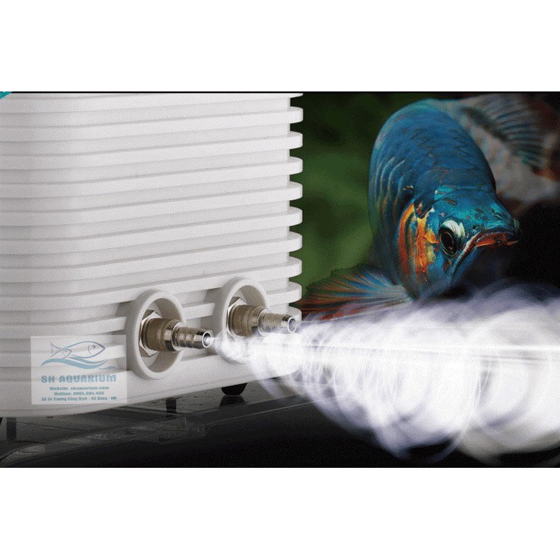 MÁY SỦI OXY TÍCH ĐIỆN PERIHA MG-3280