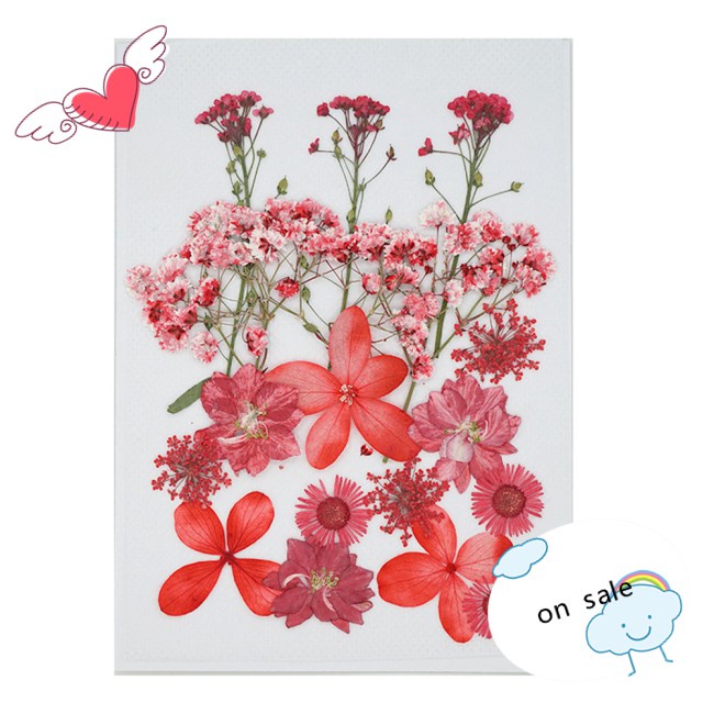 Bookmarks Photo Frame Makeup Decoration Jewelry  Handmade Flowers Diy For Dried