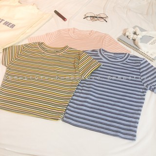 Áo croptop sọc basic tay ngắn