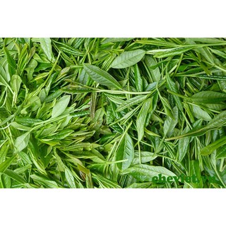 Trà (chè) búp sạch 1kg