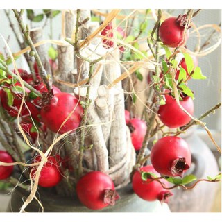 Cành lựu giả quả trung bình - Cây lựu