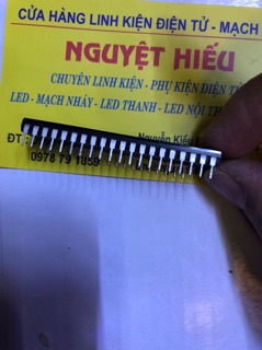 IC vi điều khiển AT89C52
