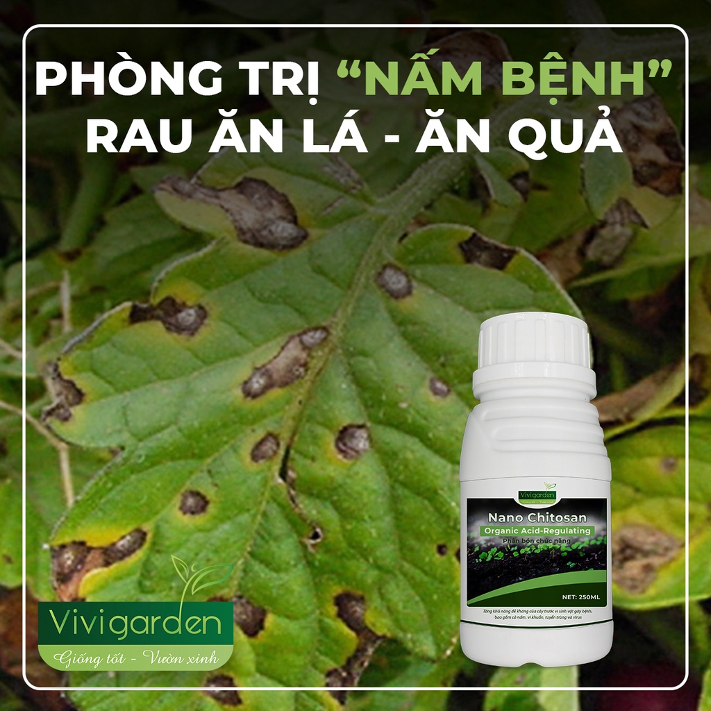 Chai 250ml Nano Chitosan sinh học xử lý nấm rỉ sắt lá, nấm bộ rễ cây, ngừa tuyến trùng, tăng đề kháng cây Vivi Garden