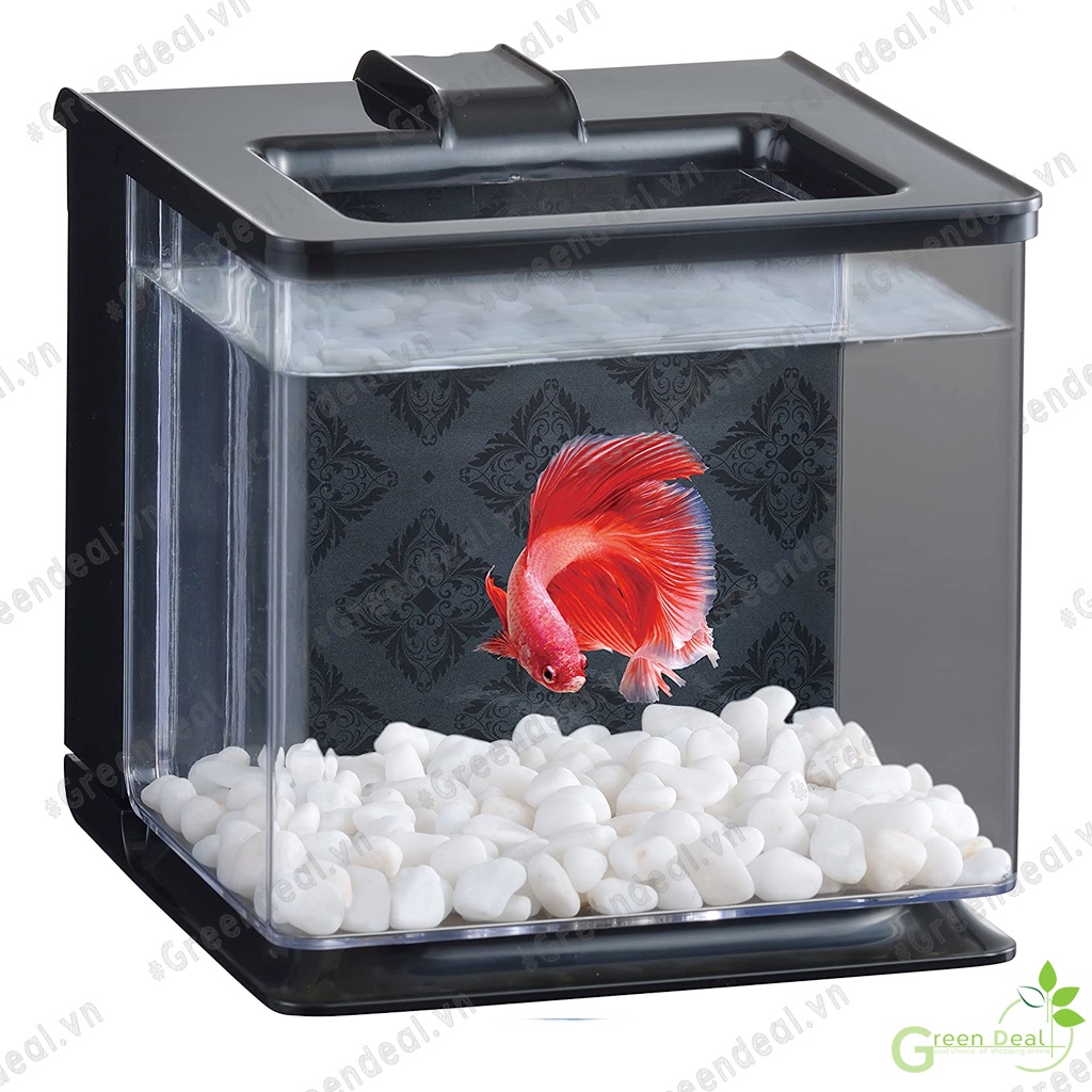 GEX - Easy Aqua Tank | Hồ cá Betta/Guppy tự động hút phân cặn ở đáy hồ cá