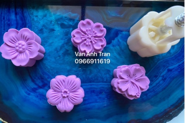 Bộ khuôn hoa anh đào 1 nhấn 4 mặt 50 gam
