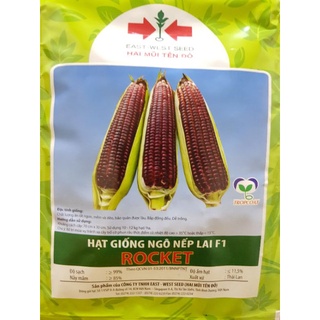 [50gram] Hạt Giống Ngô Tím, Bắp Nếp Tím Chứa Hàm lượng Anthocyanine