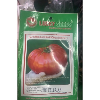 HẠT GIỐNG CÀ CHUA KHỔNG LỒ F1 GÓI 30H