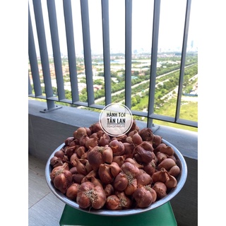 Combo 3kg hành khô - kinh môn hải dương