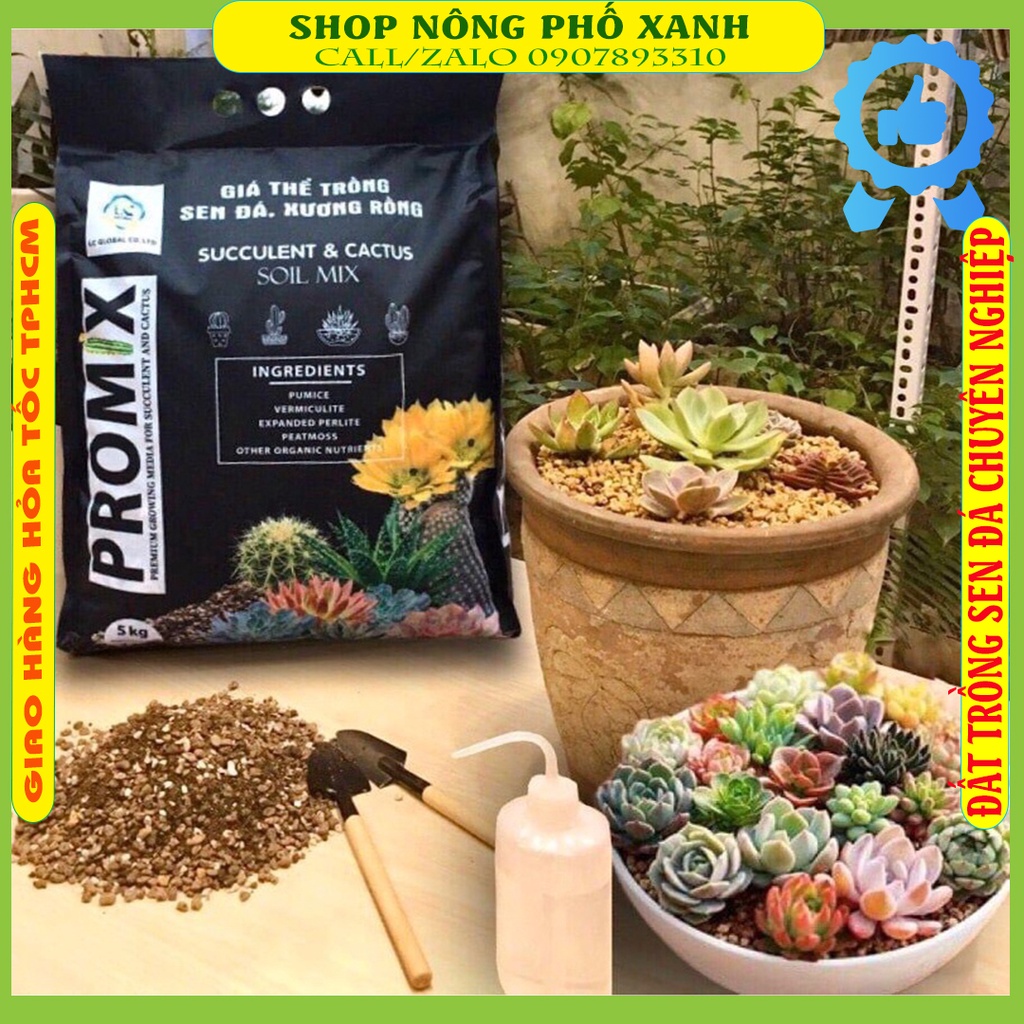 Đất trồng sen đá trộn sẳn ProMix Đầy đủ dinh dưỡng giúp sen đá xương rồng phát triển bền vững, màu đẹp