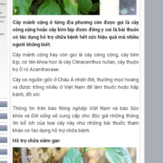 5 Cây rau mảnh cộng(không cần thêm mì chính vẫn ngọt rau)