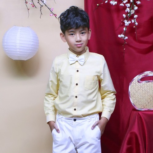 Áo sơ mi tay dài bé trai vải fo từ 1 - 12 tuổi để đi chơi  TAS020 - JADINY