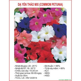 Hạt giống hoa dạ yến thảo mix -100 hạt