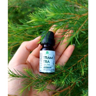 Tinh dầu tràm trà-tea tree essential oil/tinh dầu thanh nhã