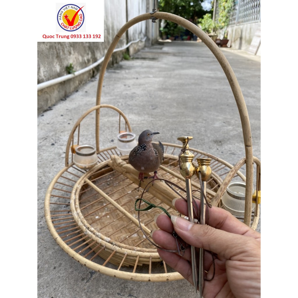 Nọc Cu gáy dùng bẫy mồi trần, hàng Việt Nam chất lượng cao