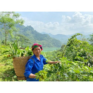 Bột tắm sau sinh dân tộc Dao Mộc Nhan Natural