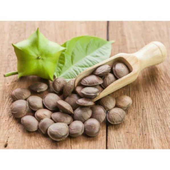 Hạt Sachi sấy chín Oganic Đắklắk thơm ngon