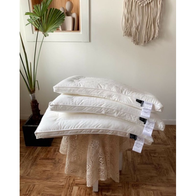 SET 2 GỐI LÔNG VŨ THẤP CAO CẤP 50X70CM (có bán vỏ gối)