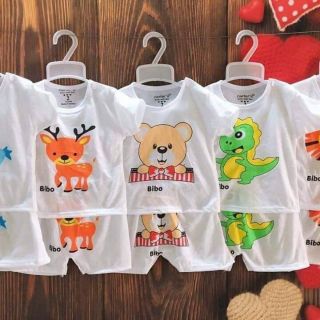 Bộ cotton 2c
